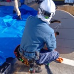 新しい仲間が増えました!